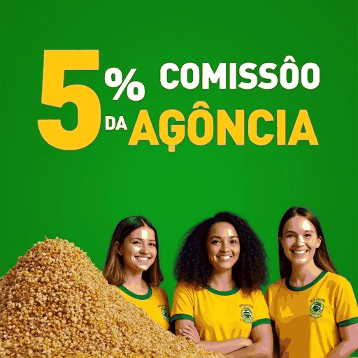 Explore o Pinbet App e Desfrute de Créditos de Boas-Vindas